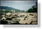 Bistrita