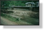 Country
