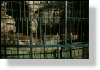 Piatra Neamt - Zoo