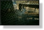 Zoo