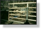 Zoo