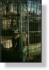 Zoo