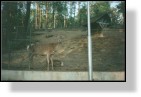 Zoo