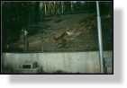 Zoo