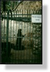 Zoo