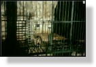 Zoo